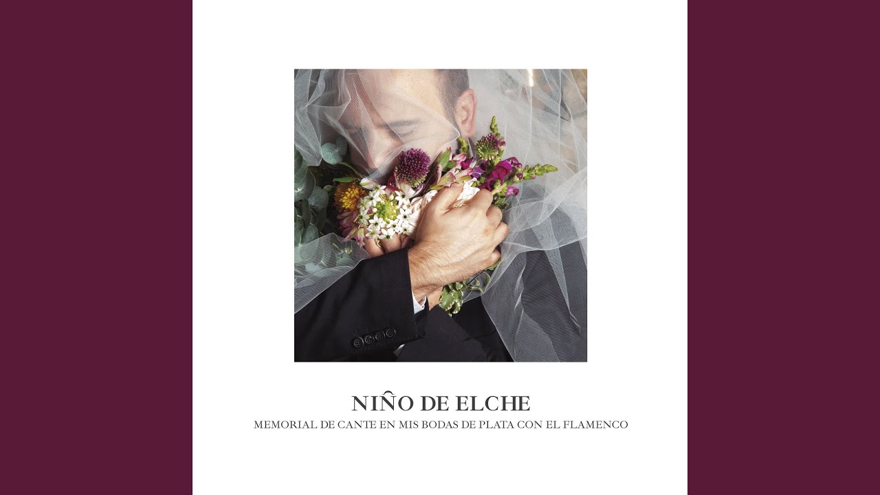 cada dia una alegria elche