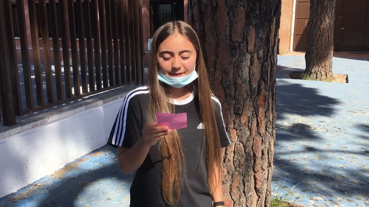 ies cardenal cisneros alcala de henares aula virtual