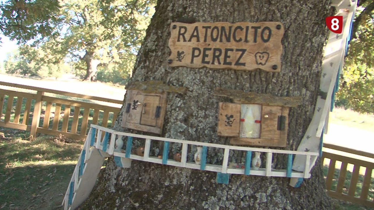 la ruta de tus sueños reseñas