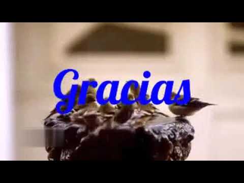 poema de gratitud pablo neruda