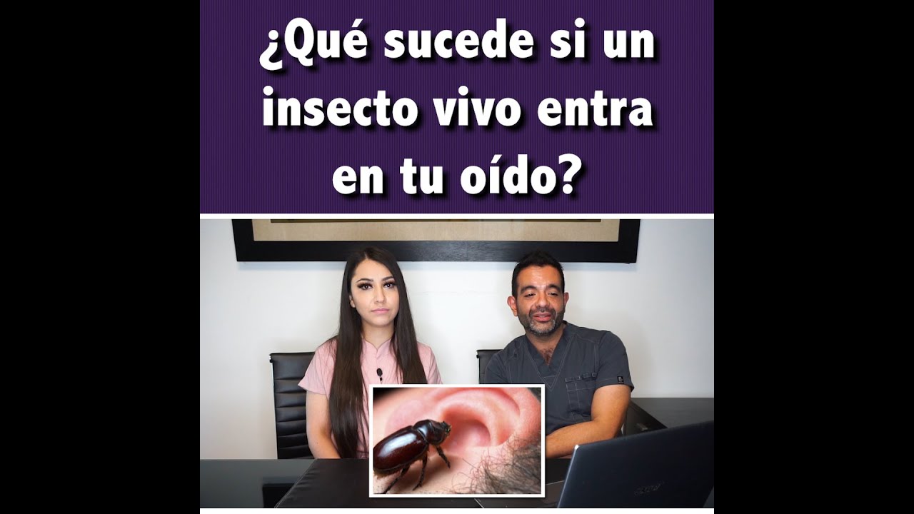 sensación de bichos en el oído