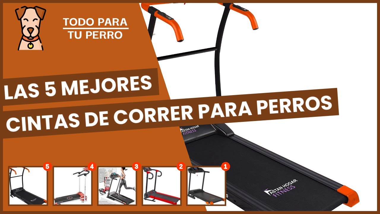 cinta correr perros segunda mano