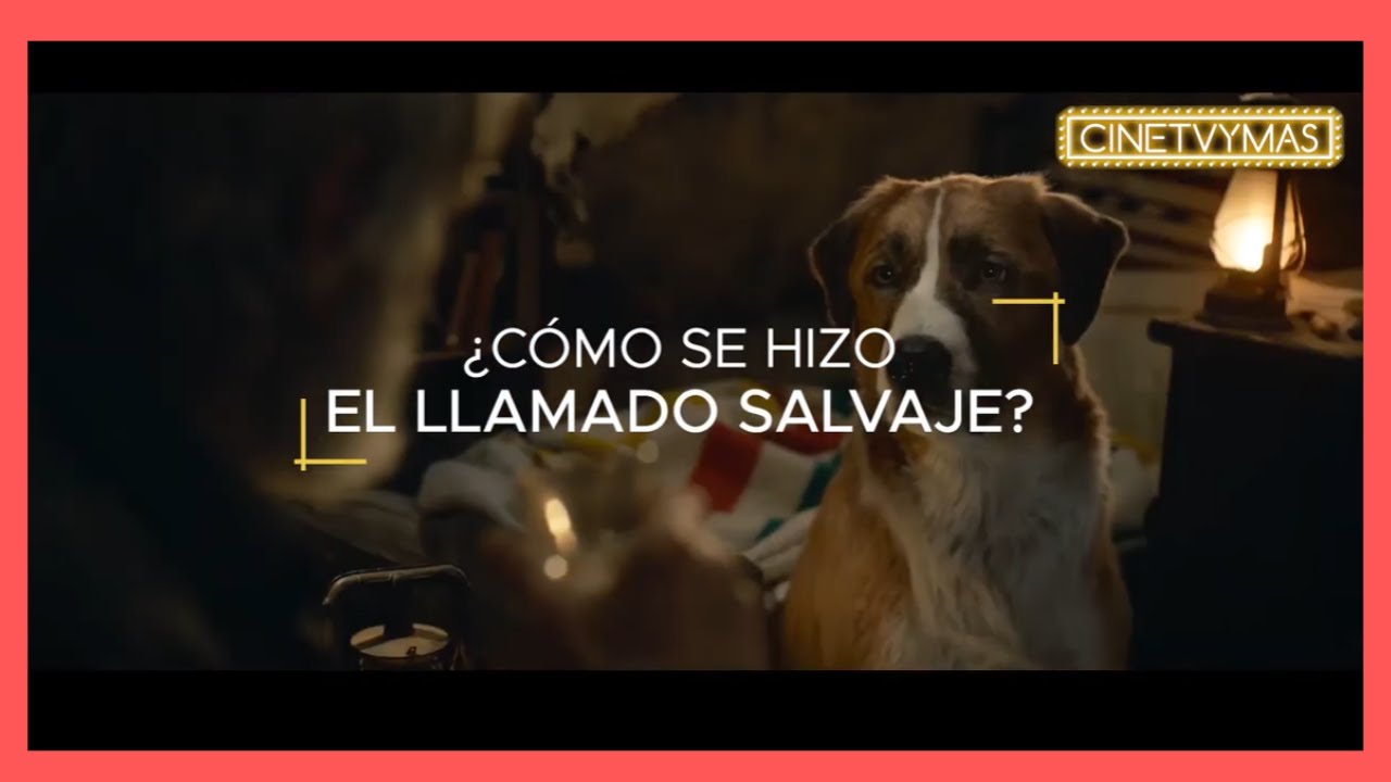como se hizo la llamada de lo salvaje