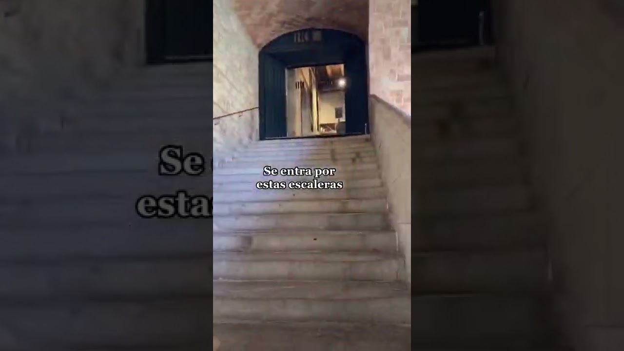 fotos de biblioteca de catalunya