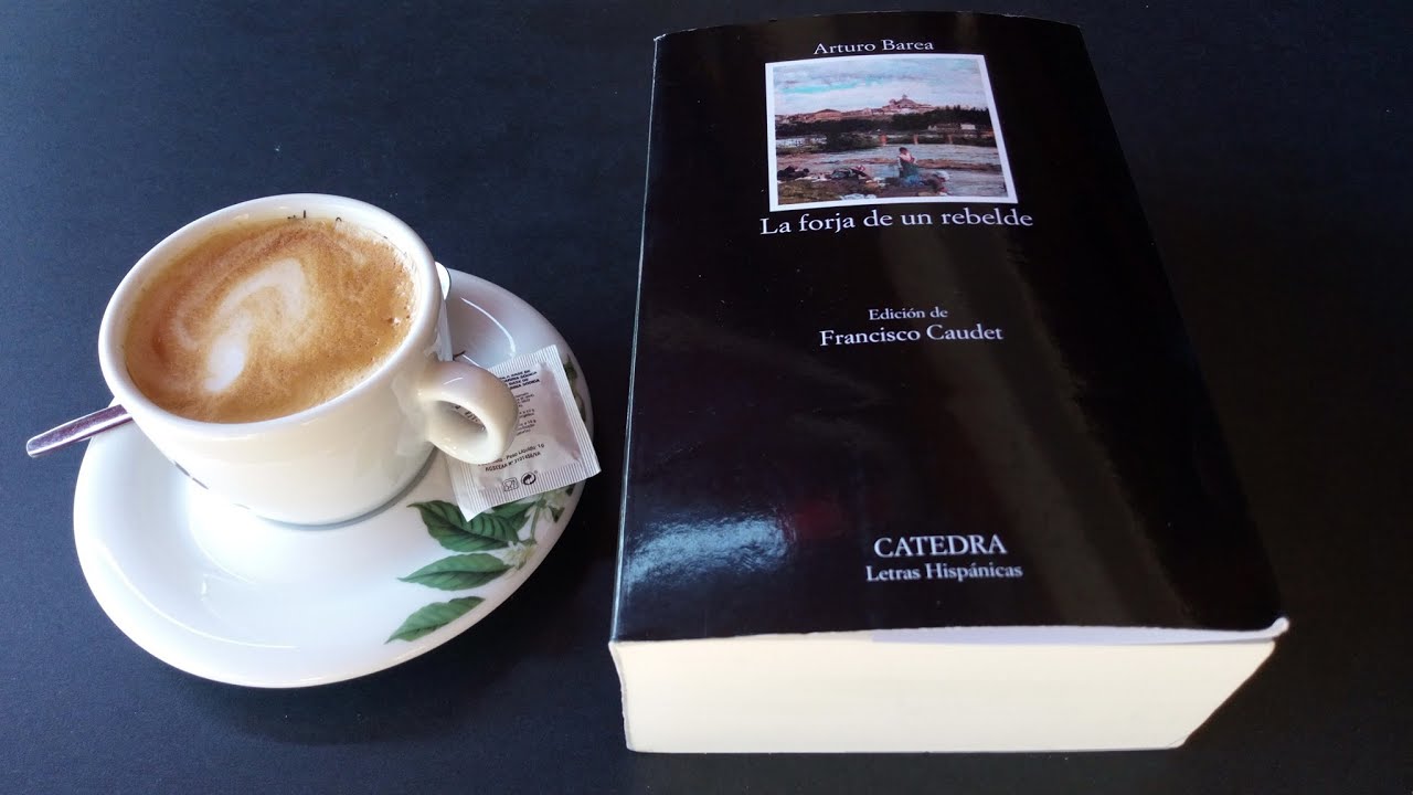 la forja de un rebelde libro