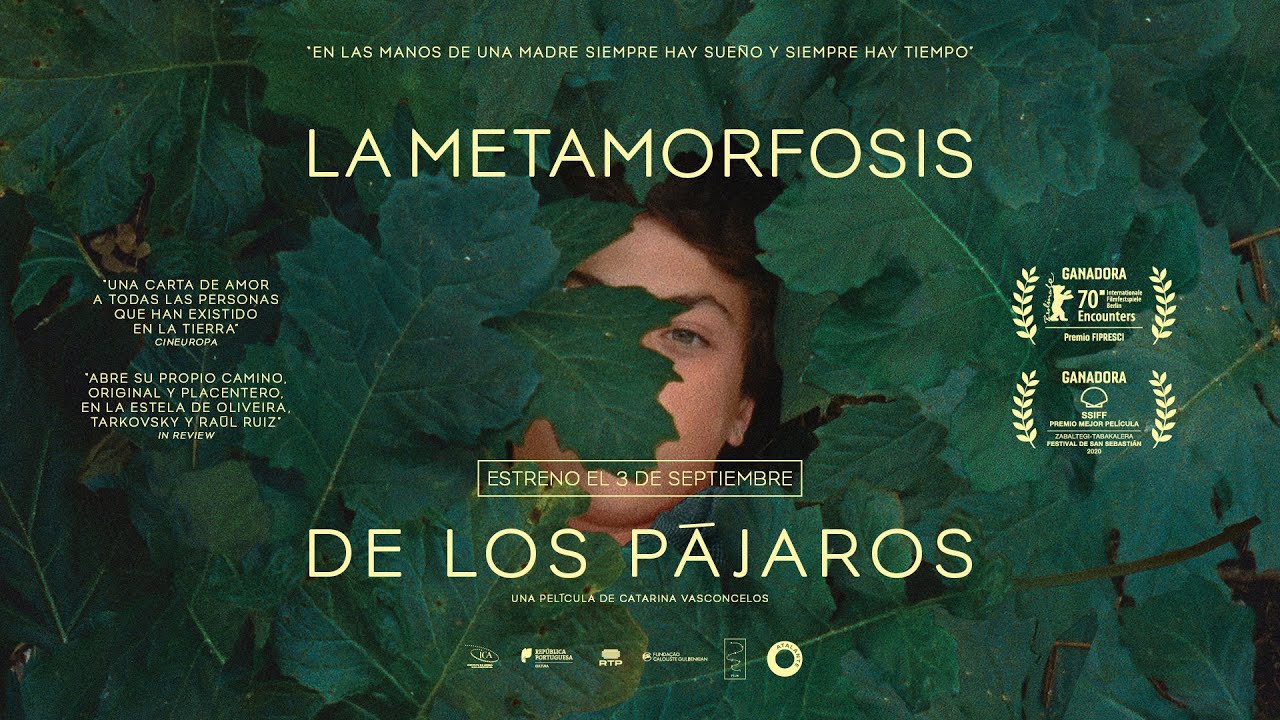 la metamorfosis de los pájaros ver online