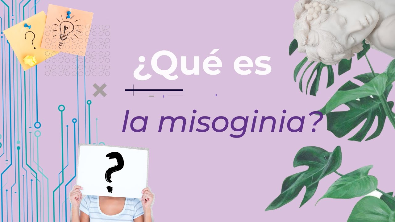 qué quiere decir comentarios misóginos