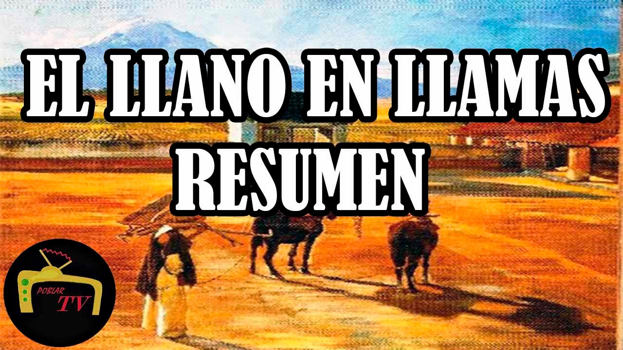 resumen el llano en llamas