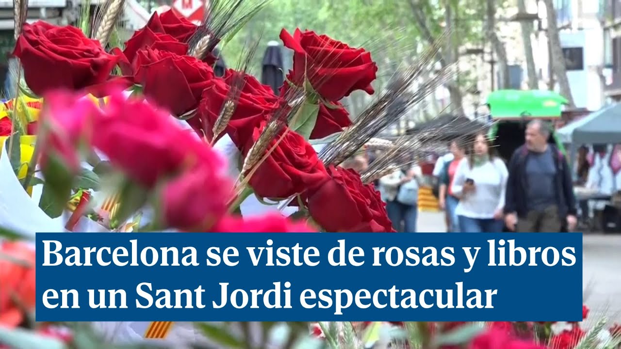 sant jordi libros y rosas