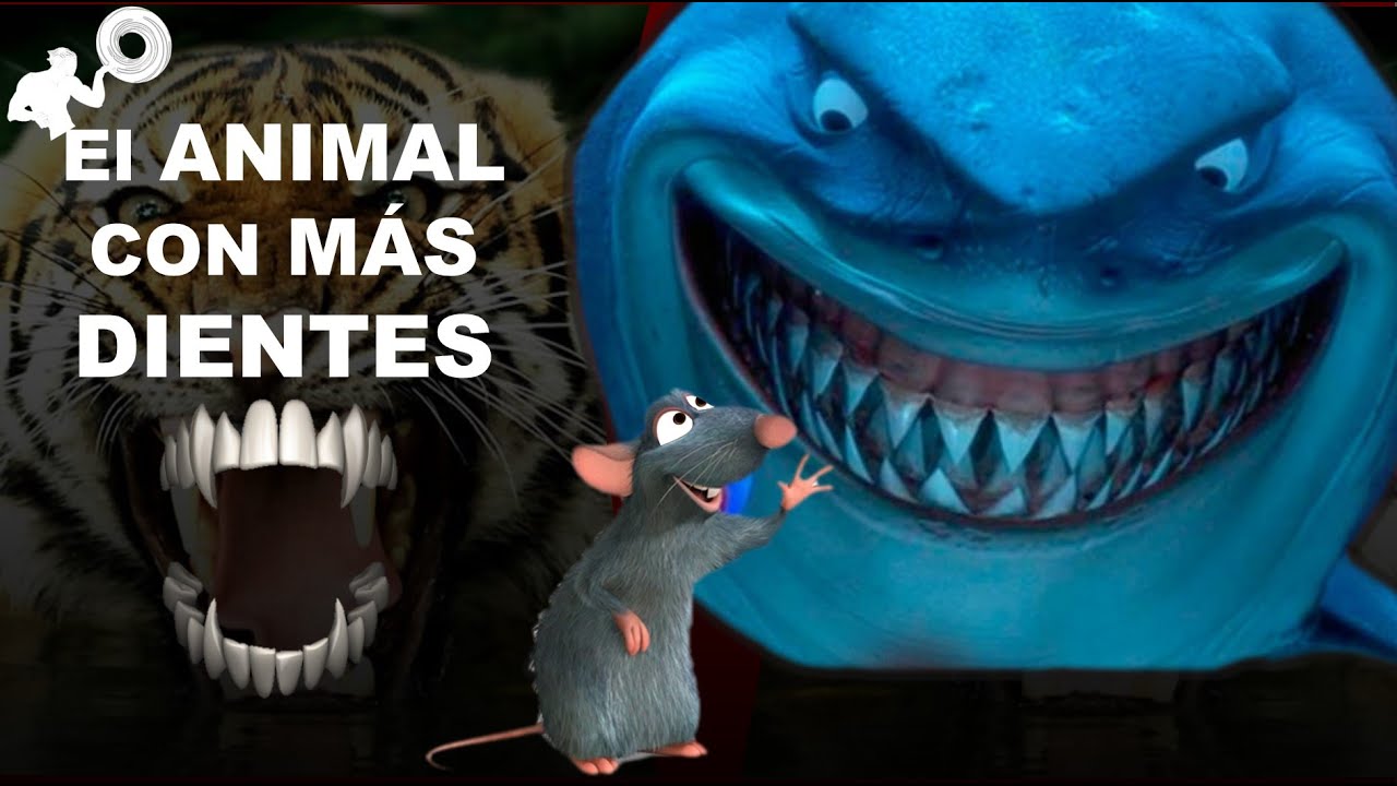 cual es el animal que mas dientes tiene