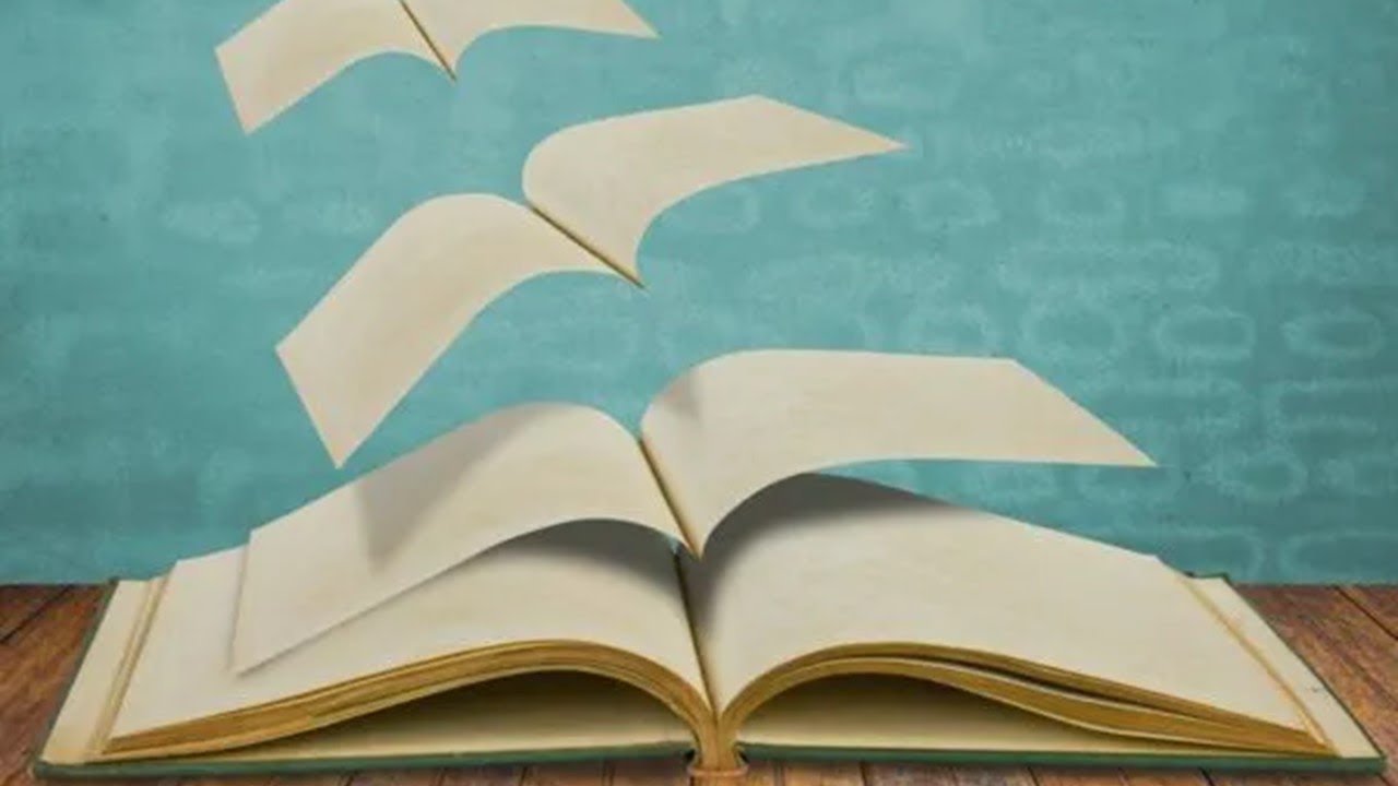diferencia entre cuento y novela