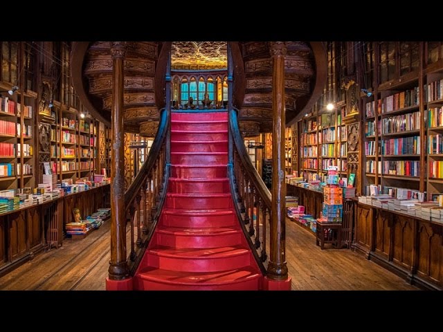 donde esta la biblioteca de harry potter