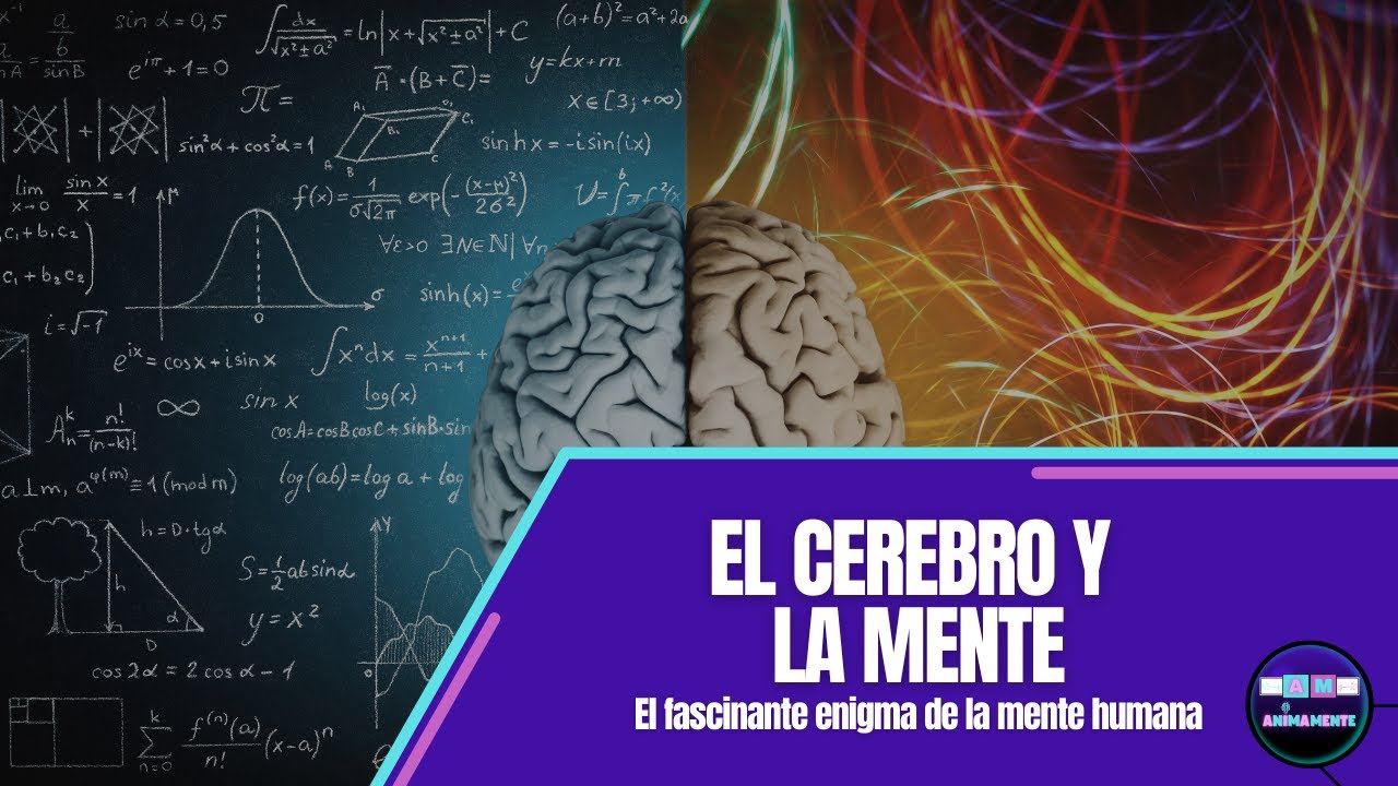 el cerebro y la mente humana