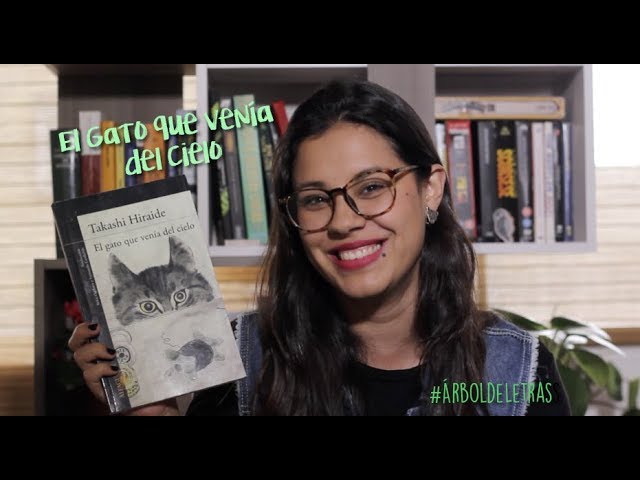 el gato que venia del cielo