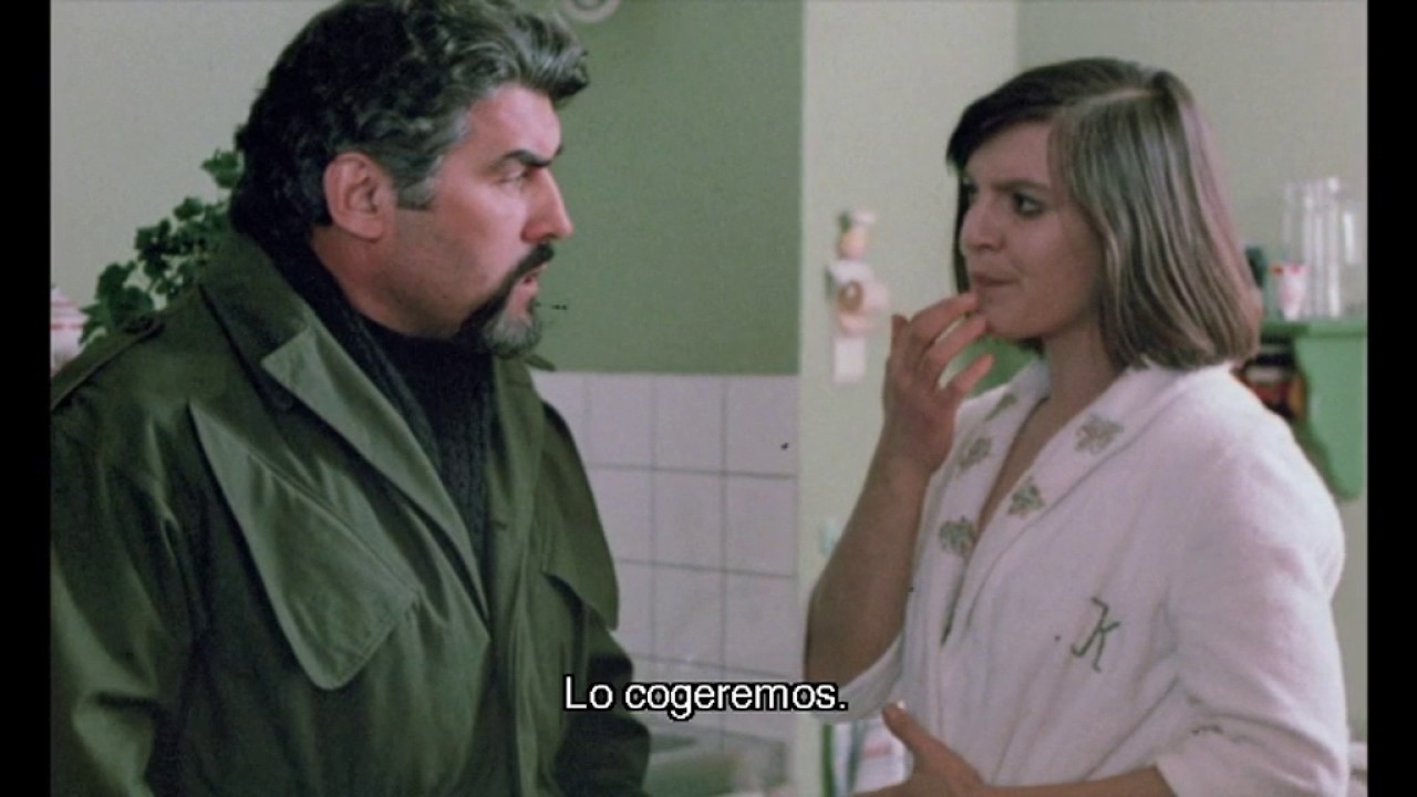 el honor perdido de katharina blum