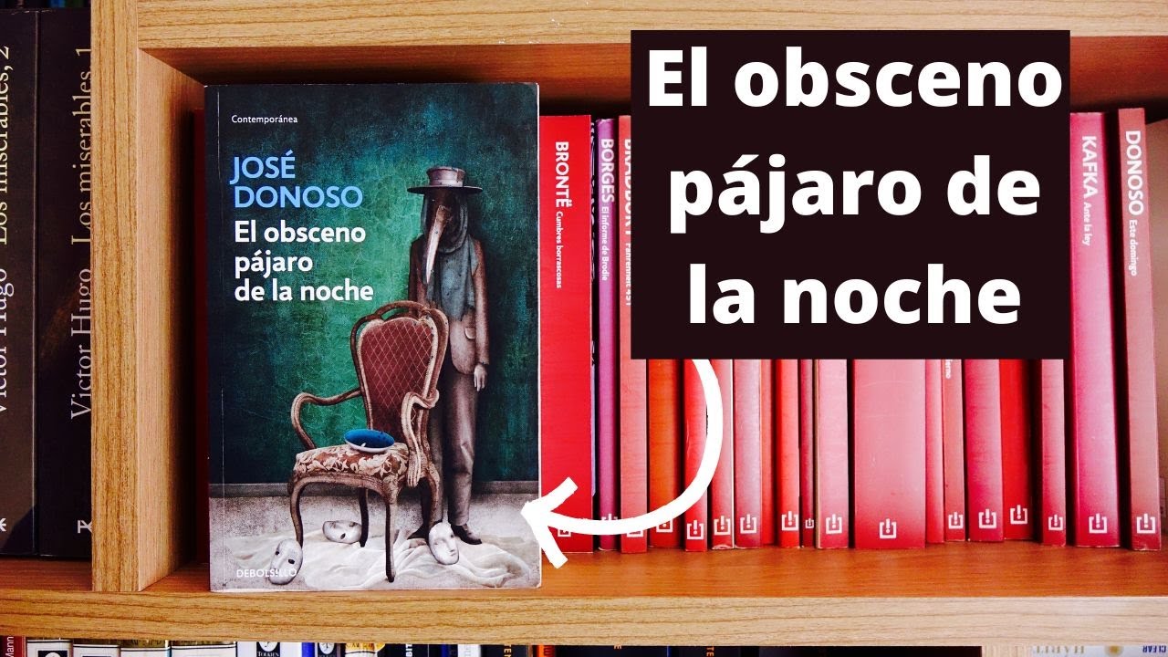 el obsceno pájaro de la noche