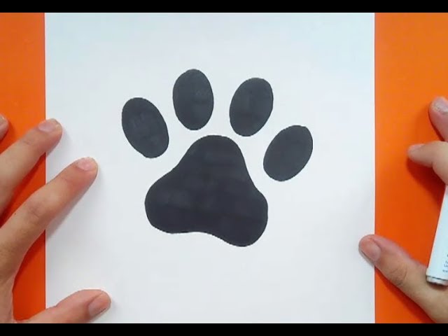 foto de huellas de perro