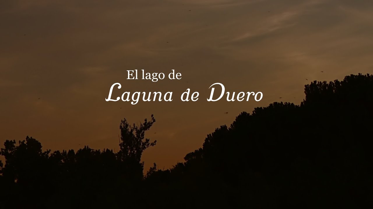 fotos de río mar laguna de duero