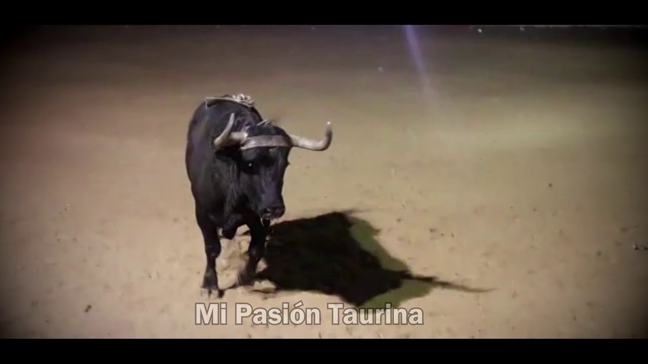 la leyenda del rayo de luna
