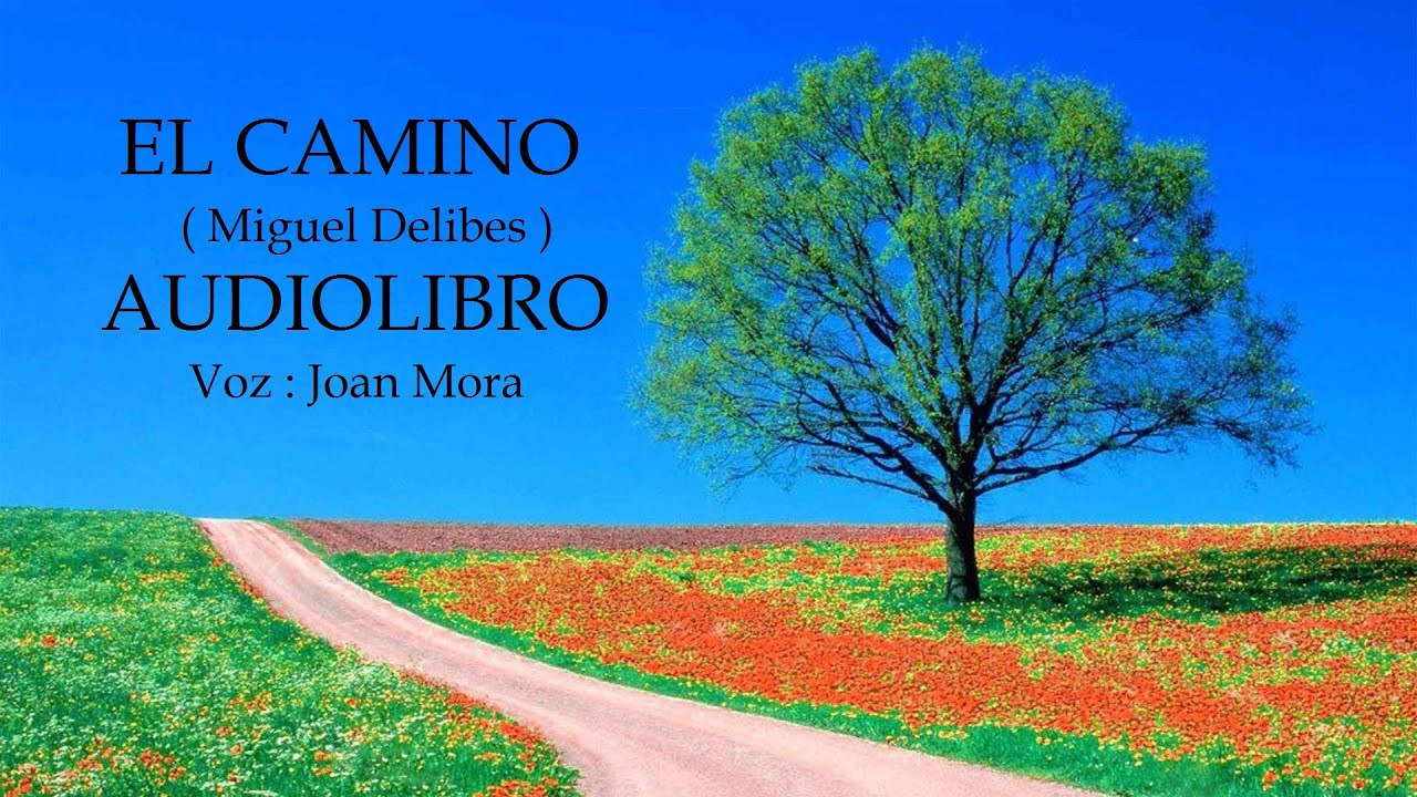 libro el camino miguel delibes