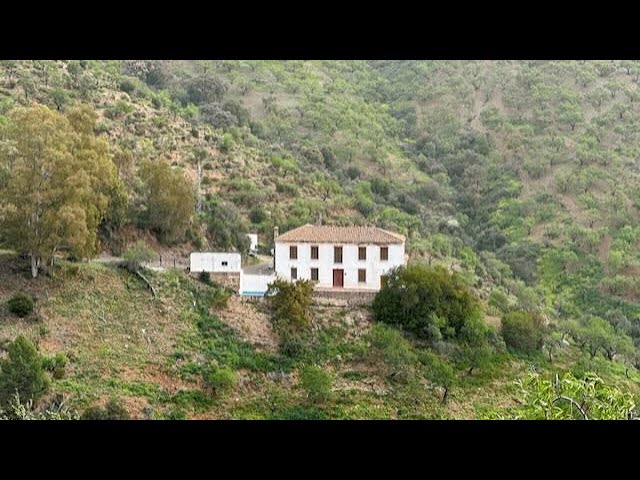pepa zafra taller de cuadros sl