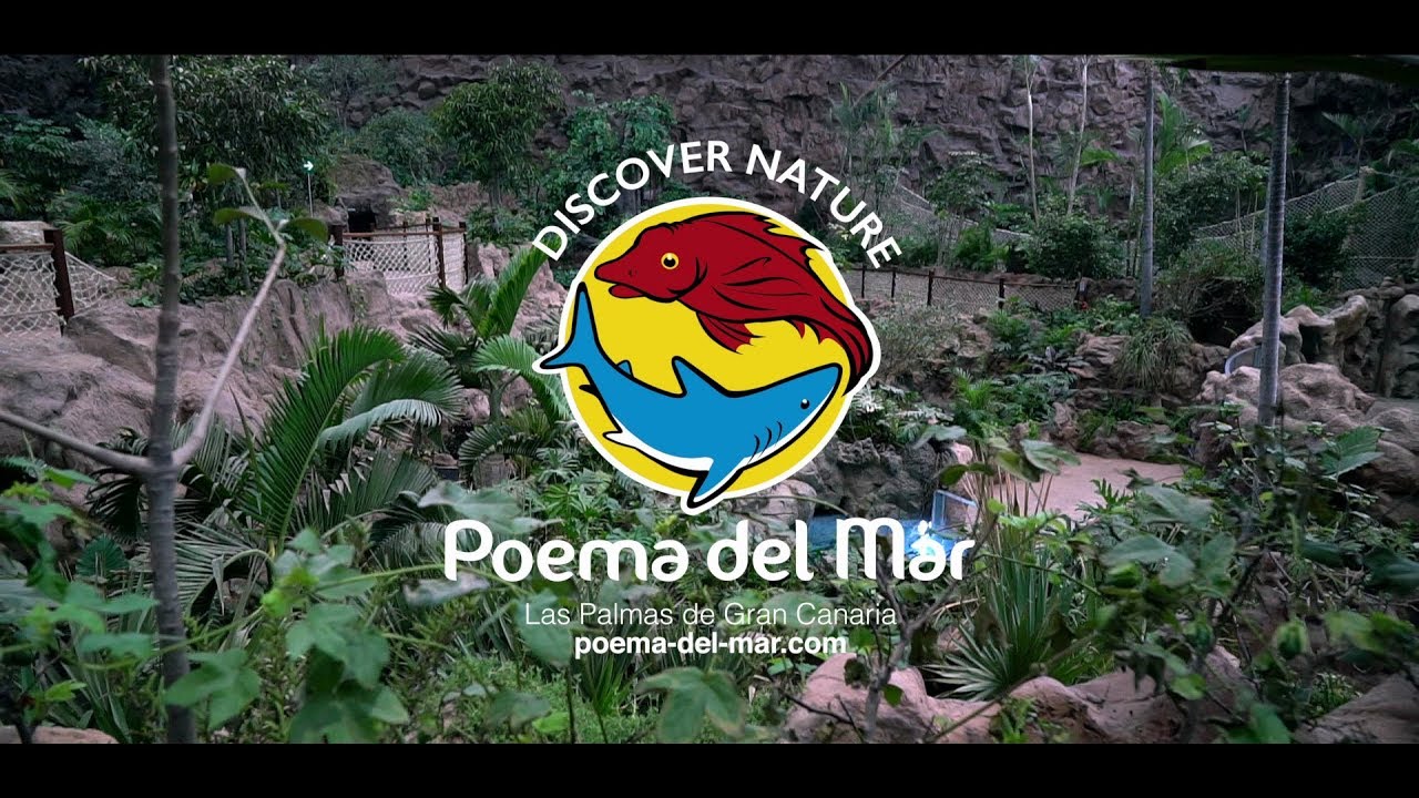 poema del mar precio residentes