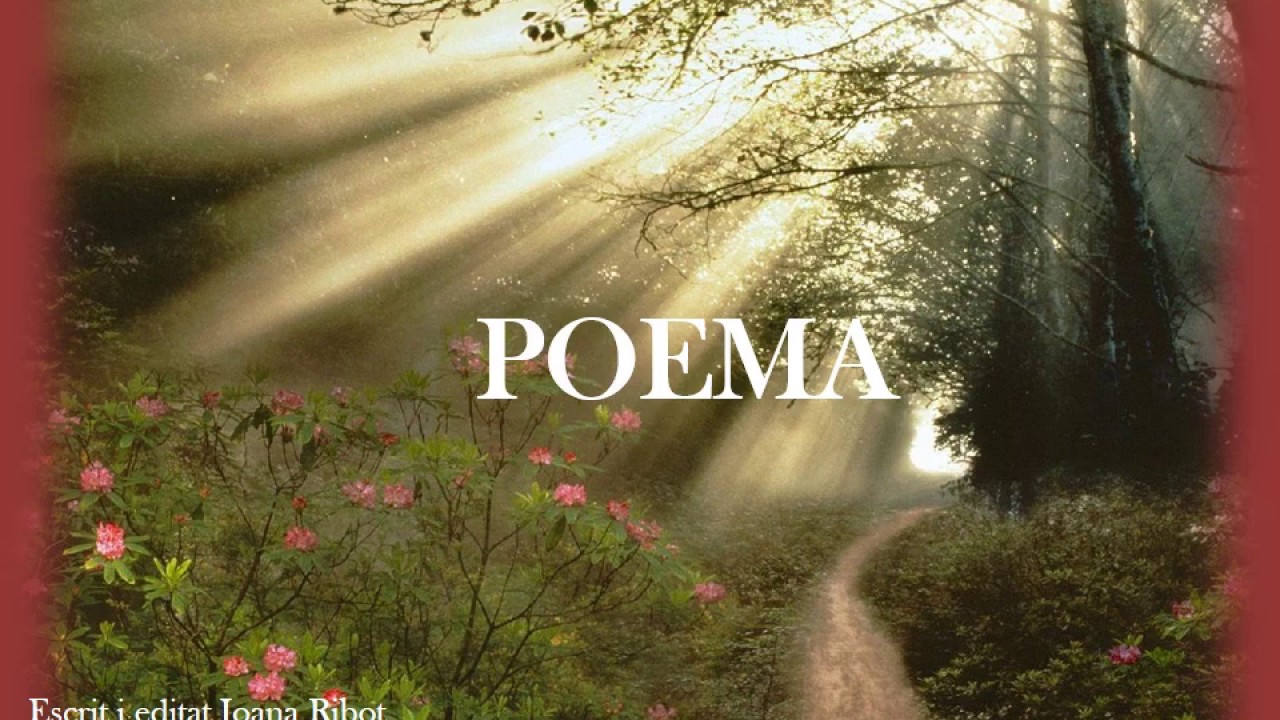 poemas en catalán cortos de amor