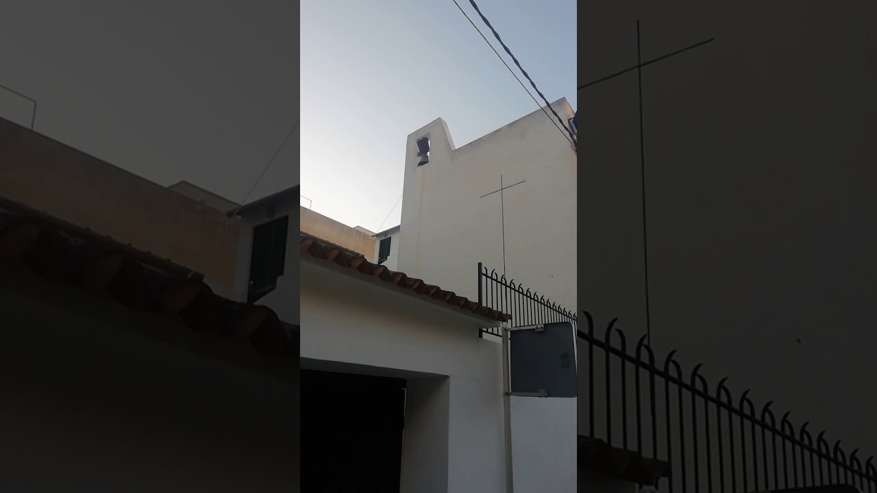 san vicente de paul arenal