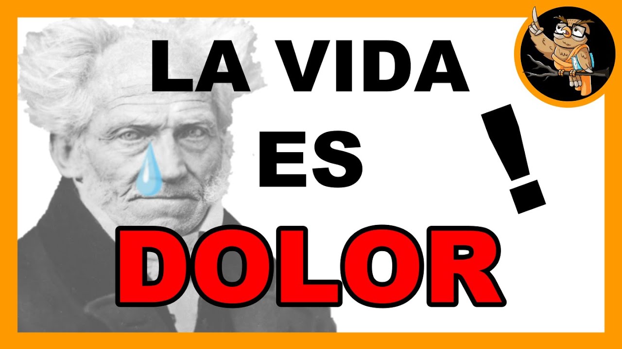 schopenhauer el mundo como voluntad y representación