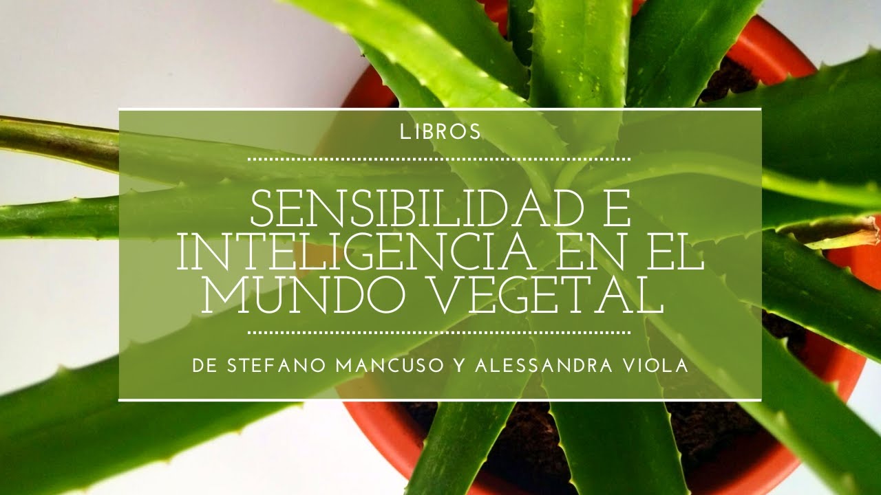 sensibilidad e inteligencia en el mundo vegetal